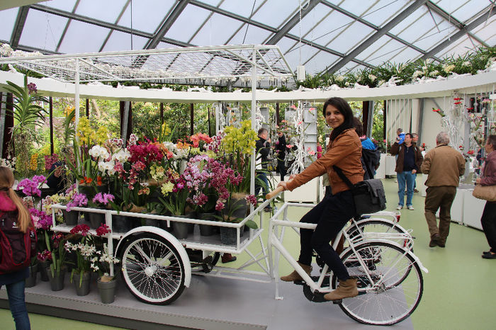 keukenhof 056