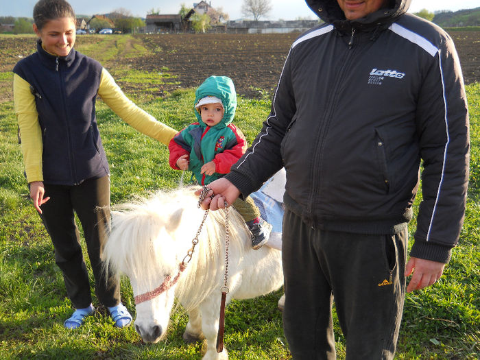 calarie Gherla 15.04.2014 001