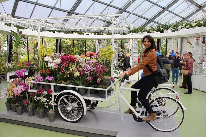 keukenhof 057 - Expozitie de orhidee Keukenhof 2014