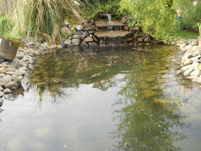 Picture 073 - GRADINA 2014