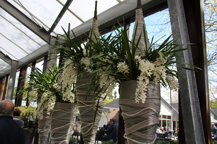 keukenhof 054