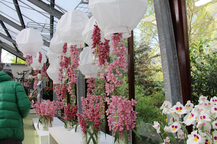 keukenhof 118 - Expozitie de orhidee Keukenhof 2014