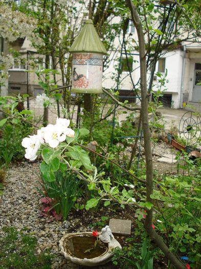 DSC06303 - Gradina in 2014