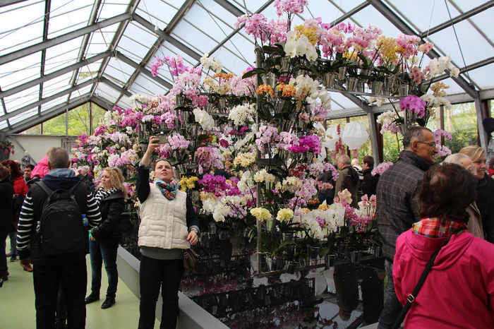 keukenhof 161