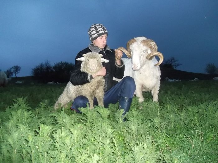 Picture 183 - Productia De Miei 2014