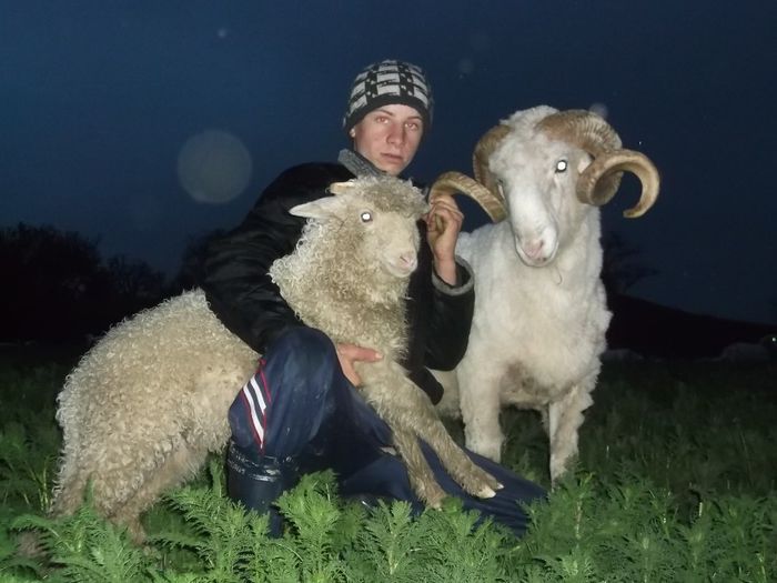 Picture 187 - Productia De Miei 2014