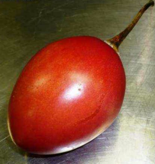 de pe net - Tamarillo sau pomul de tomate