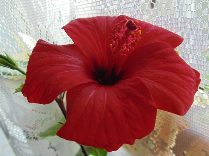 DSC01234