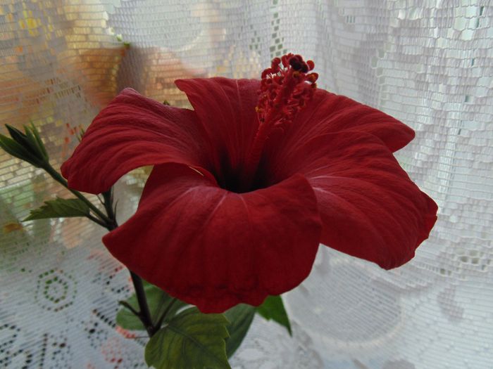 DSC01227