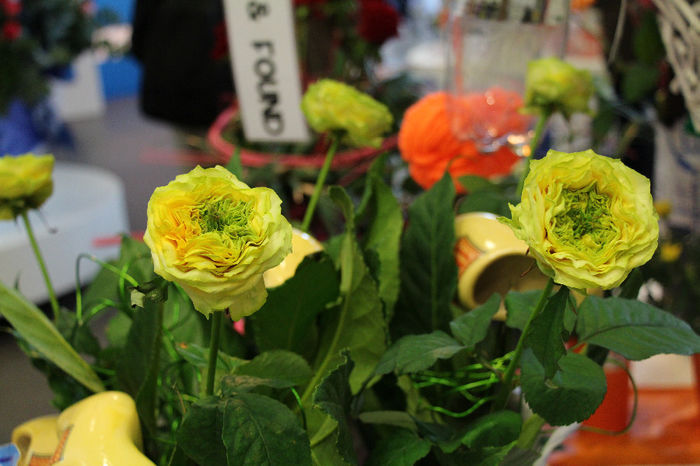 keukenhof 421 - Expozitie de trandafiri Keukenhof 2014