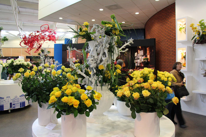 keukenhof 427 - Expozitie de trandafiri Keukenhof 2014