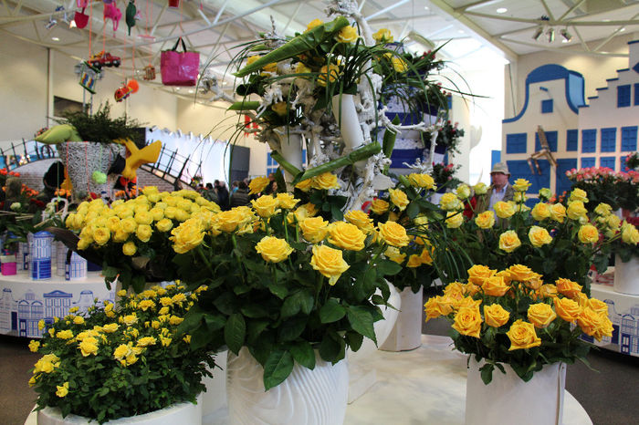 keukenhof 434 - Expozitie de trandafiri Keukenhof 2014