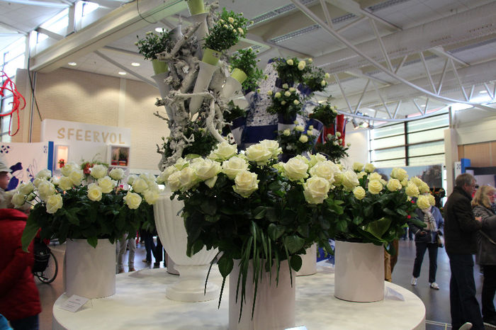 keukenhof 435 - Expozitie de trandafiri Keukenhof 2014