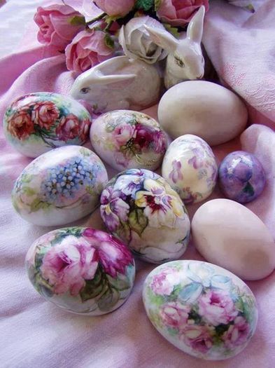 10250151_697043650334233_3811229919073968907_n