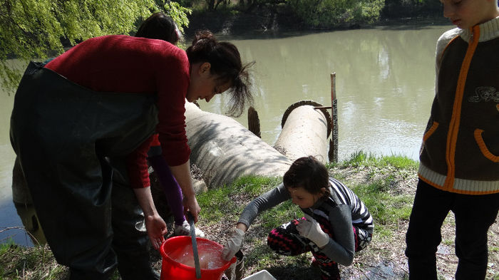 14 - Excursie de cercetare la Prut