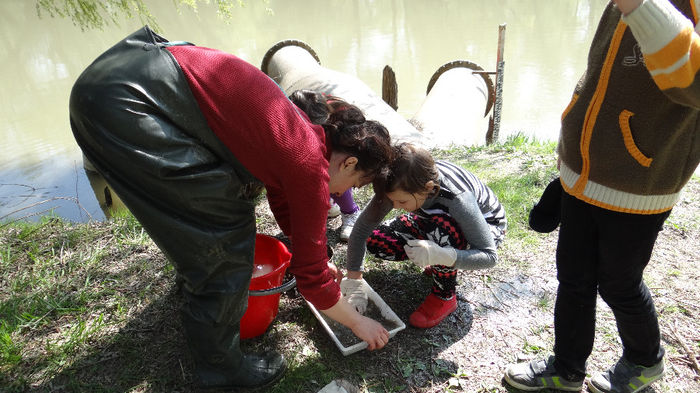 15 - Excursie de cercetare la Prut