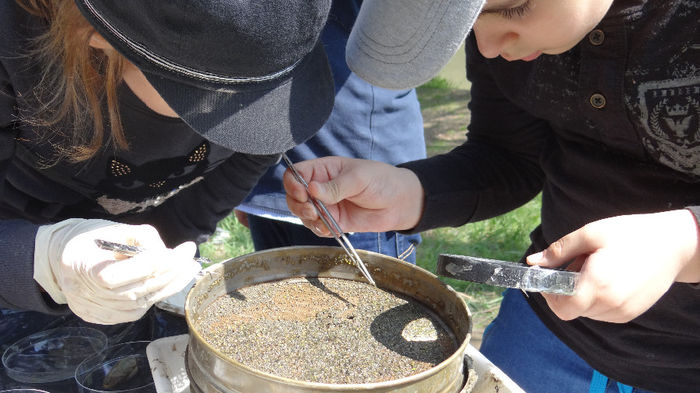 35 - Excursie de cercetare la Prut