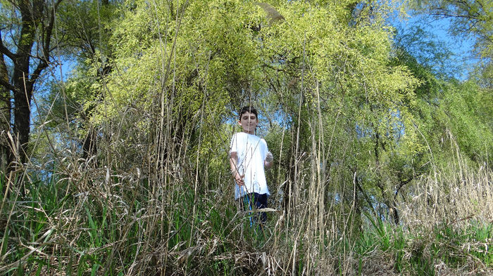 DSC00037