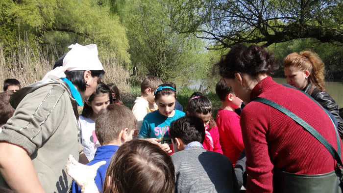 DSC00068 - Excursie de cercetare la Prut