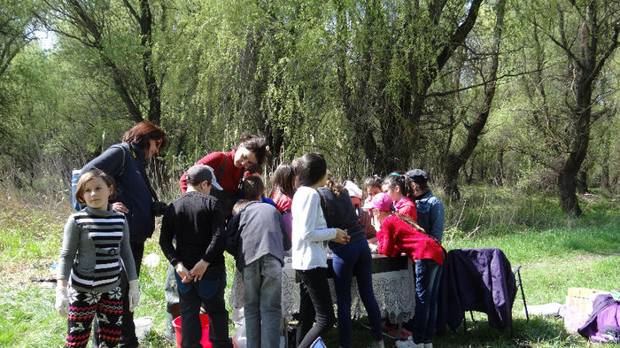DSC00083 - Excursie de cercetare la Prut