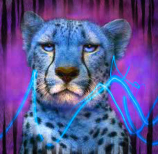  - leopard albastru VS leu alb