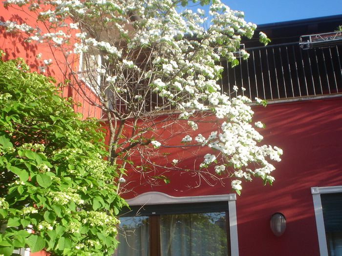 Hotel Pigalle langa Verona