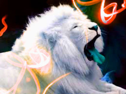  - leopard albastru VS leu alb
