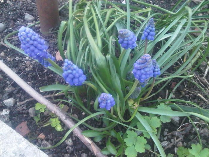 IMG00561-20140326-1837