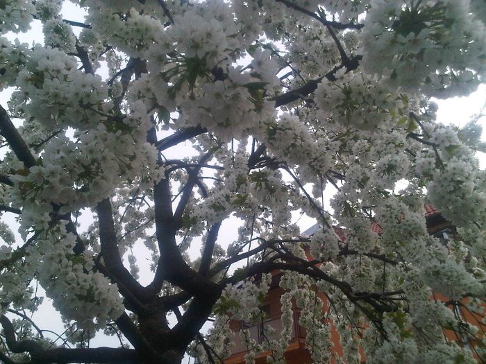 IMG00577-20140404-1837