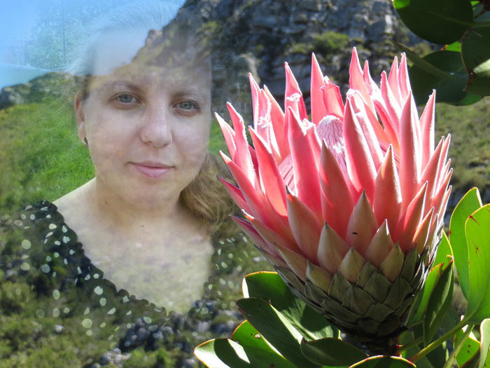 11-en-1aa545c88f752ede04b1b18053101865