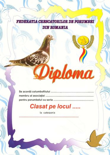 13 - diplome de vanzate