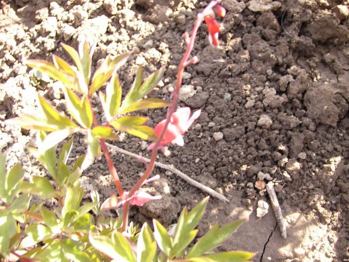 P1200237