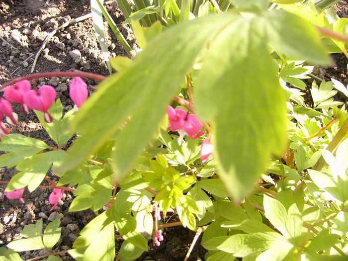 P1200240
