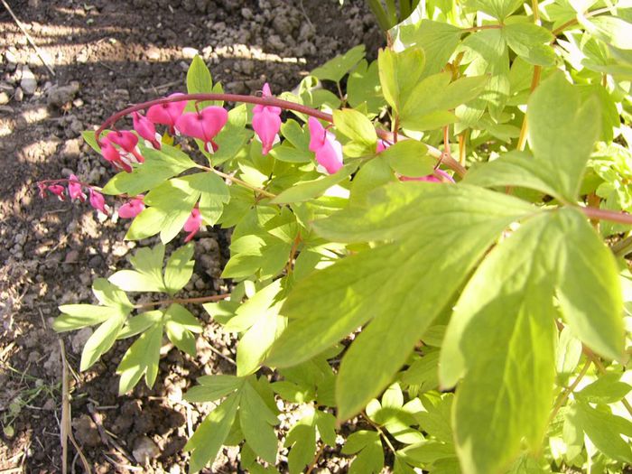 P1200245