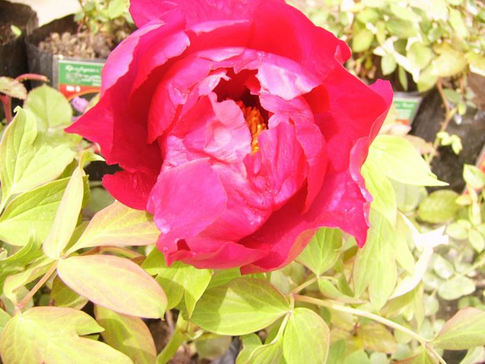 P1200251