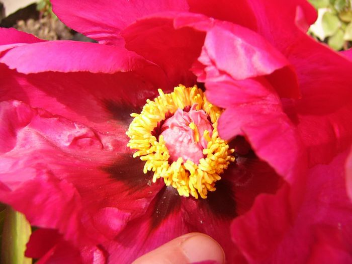 P1200252
