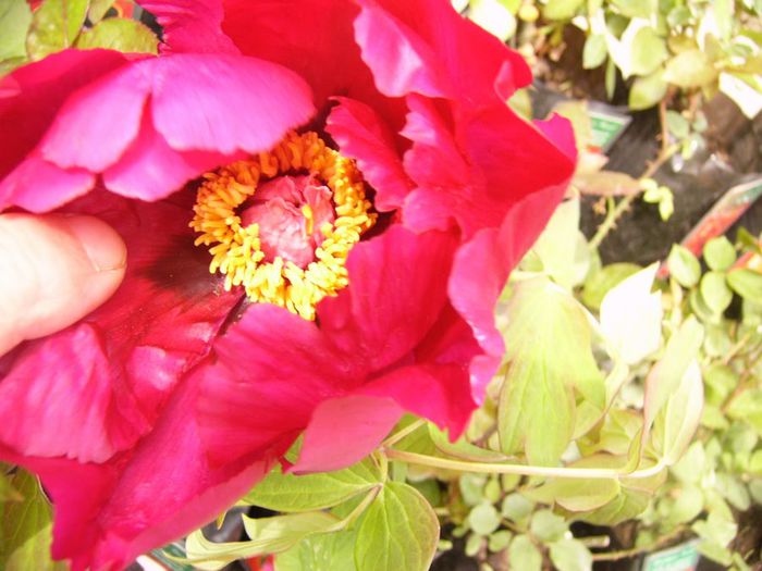 P1200259