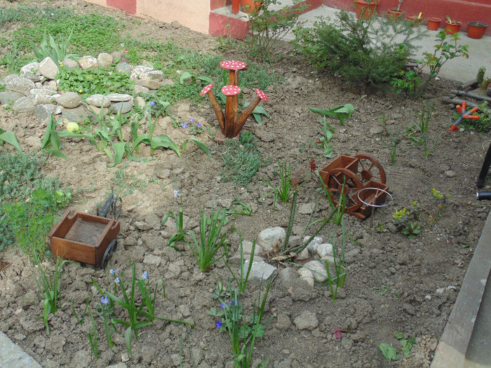 DSC01200 - Curtea si gradina