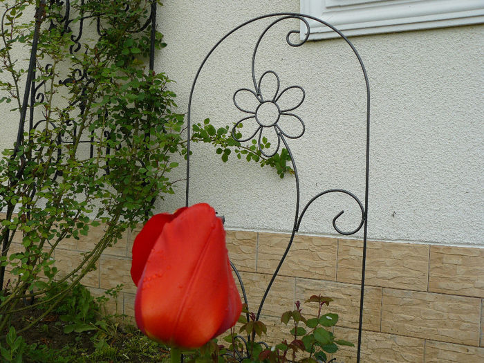 Suport pentru Heritage