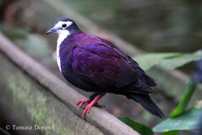 2012229_715312497_jpg