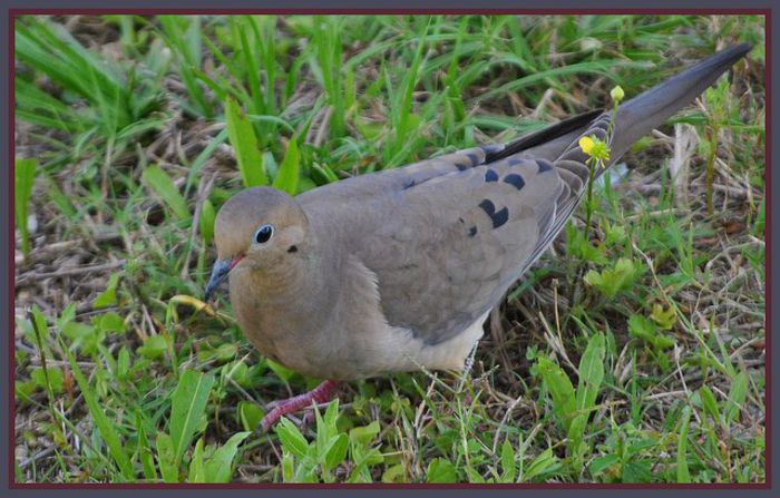 5603864841_ba8cd8f872_z