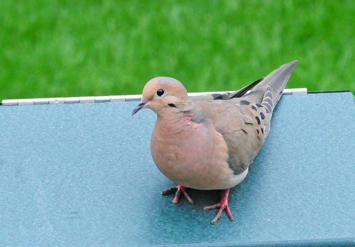 8321678871_1881fb14b2_z