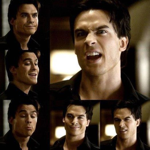  - TVD
