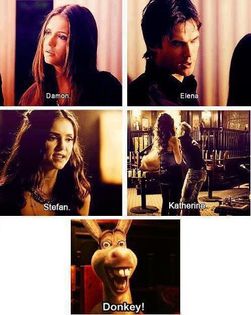  - TVD