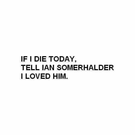  - TVD