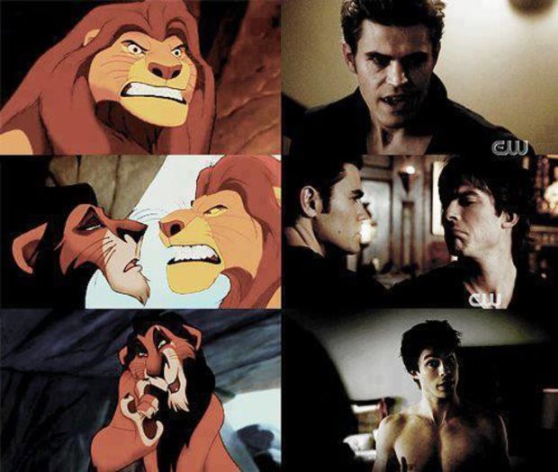  - TVD