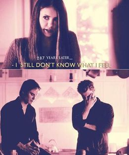  - TVD