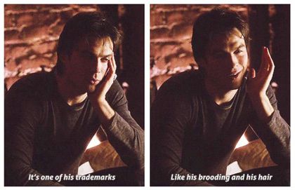  - TVD