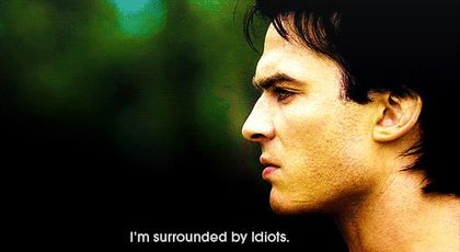 - TVD