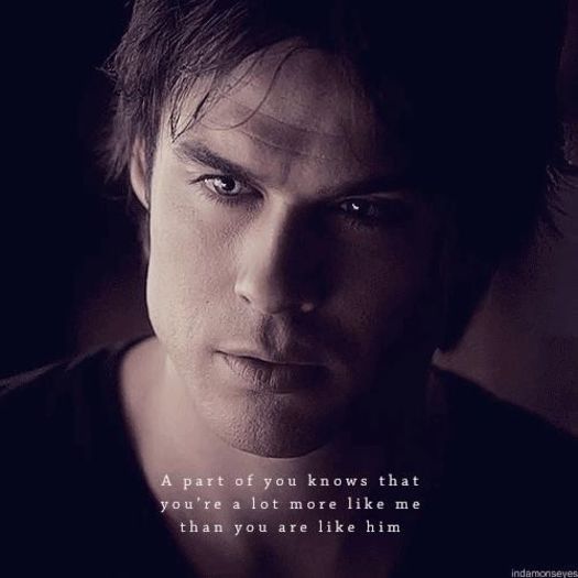  - TVD